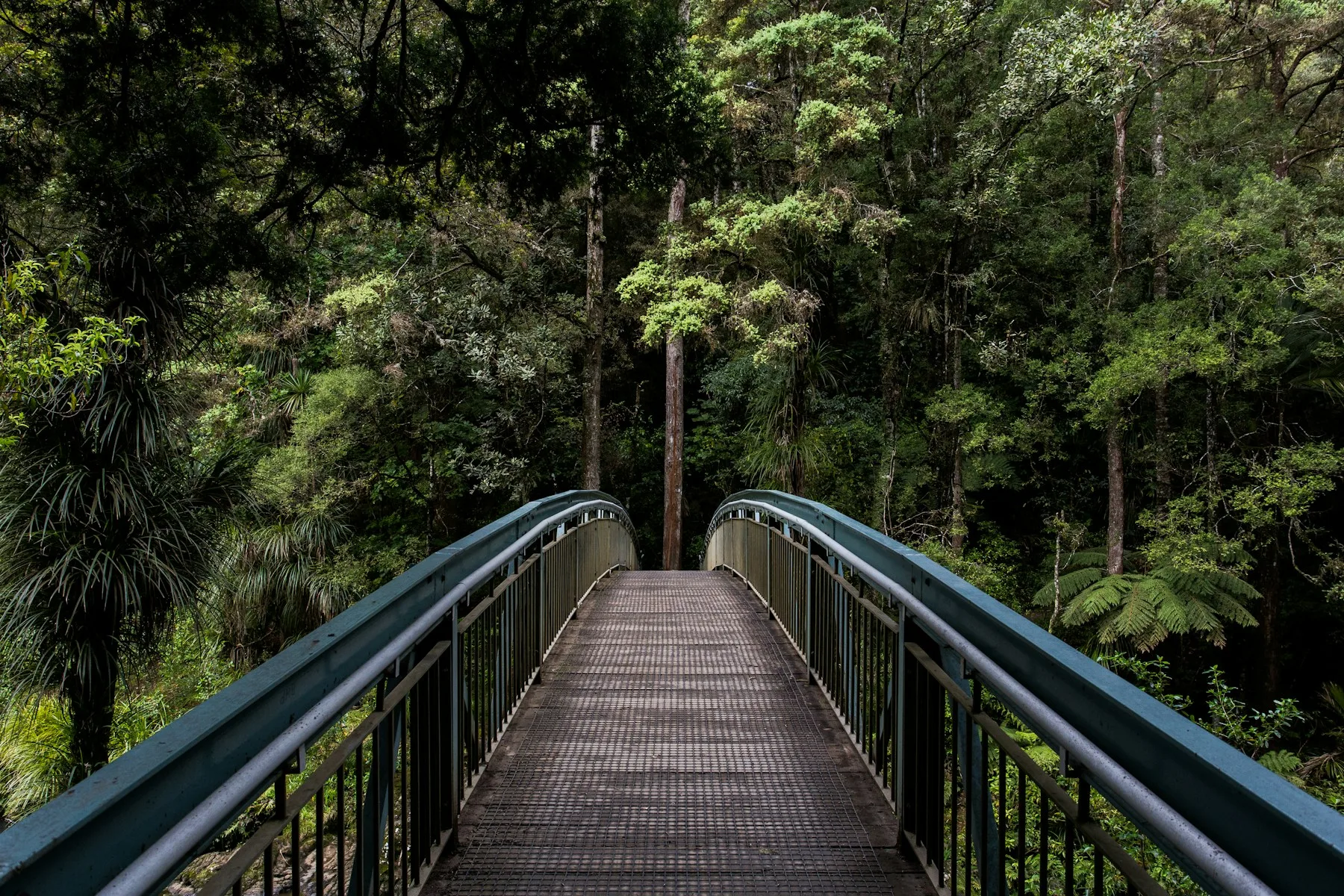A wooden footbridge crossing water beneath dense green trees